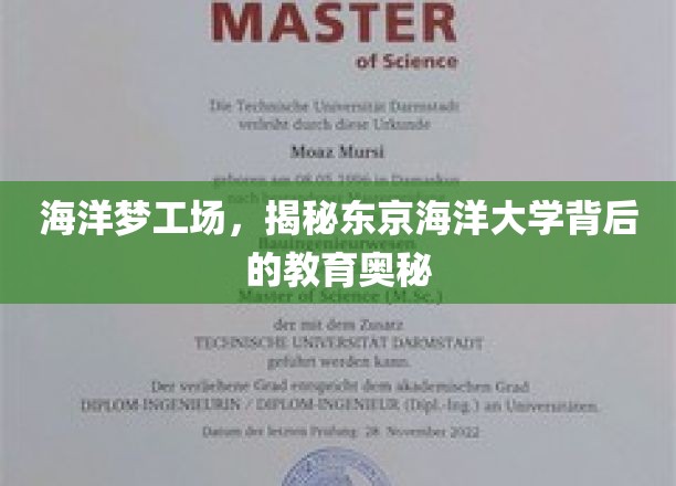 探寻海洋梦工厂，东京海洋大学教育奇迹的神秘面纱