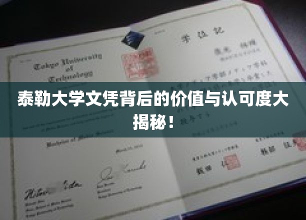 泰勒大学文凭背后的价值与认可度大揭秘！