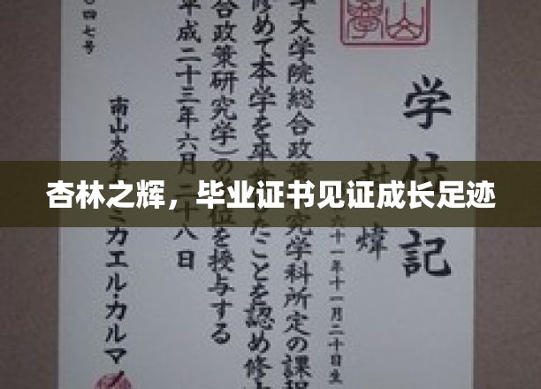 杏林之辉，毕业证书见证成长足迹
