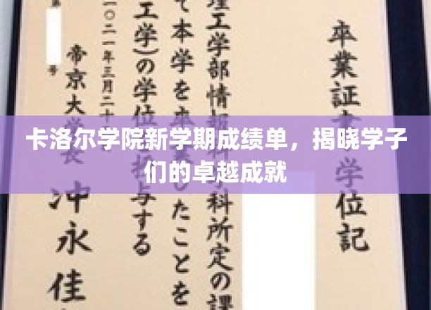 卡洛尔学院新学期成绩单，揭晓学子们的卓越成就