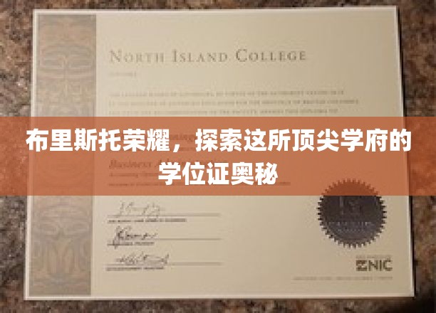 布里斯托荣耀，探索这所顶尖学府的学位证奥秘