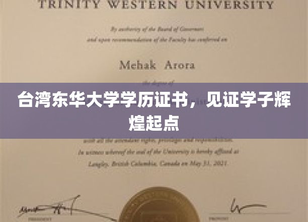 台湾东华大学文凭闪耀，开启学子璀璨未来之路