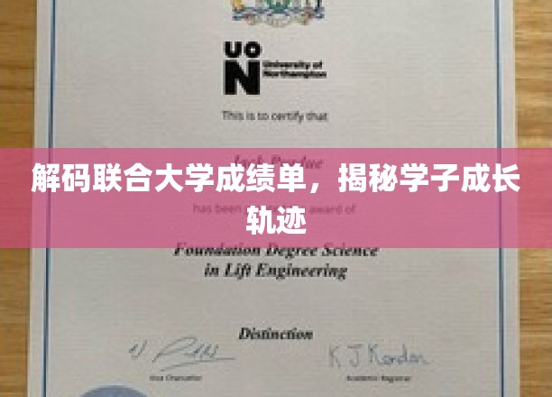 探索联合大学成绩单，解锁学子成才之路