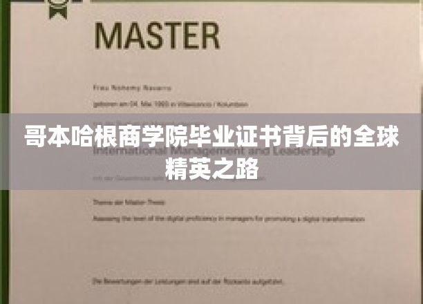 解码哥本哈根精英，商学院证书背后的全球视野与成功轨迹