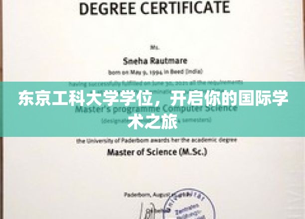 东京工科大学学位，迈入全球学术新篇章
