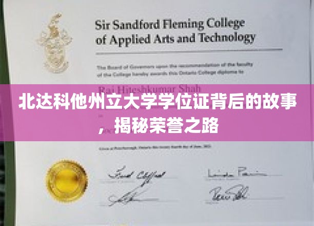 北达科他州立大学学位证背后的故事，揭秘荣誉之路
