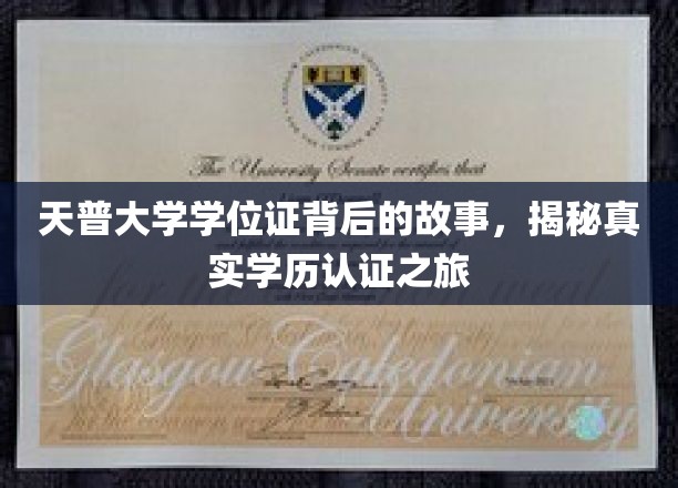 天普大学学位证背后的故事，揭秘真实学历认证之旅