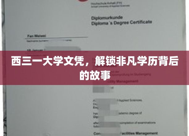 西三一大学文凭，解锁非凡学历背后的故事