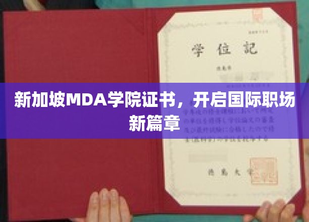 新加坡MDA学院证书，开启国际职场新篇章