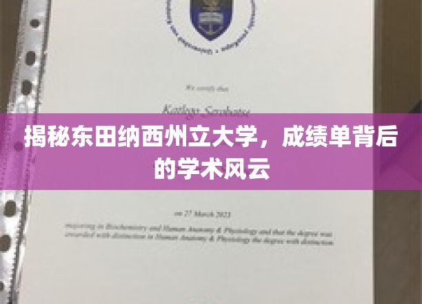 探索东田纳西州立大学，揭秘成绩单背后的学术故事