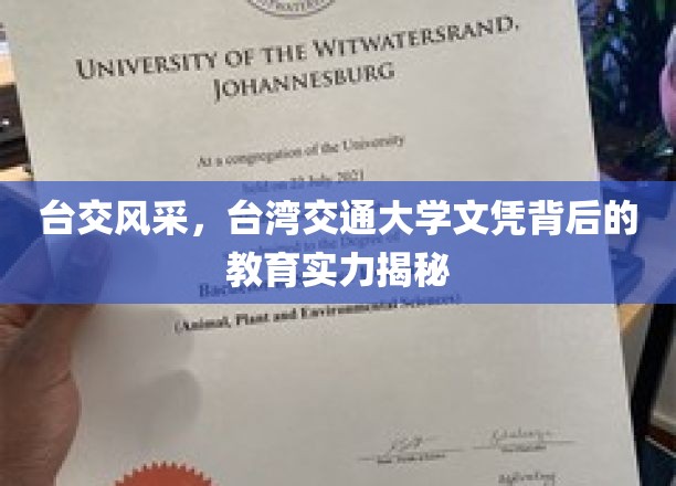 台湾交大魅力，揭开文凭背后的卓越教育实力面纱