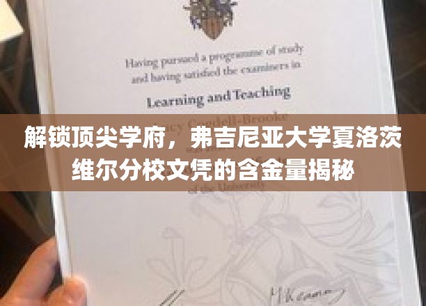 弗吉尼亚大学夏洛茨维尔分校，揭秘顶级文凭背后的价值与魅力