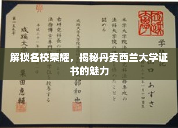 解锁名校荣耀，揭秘丹麦西兰大学证书的魅力