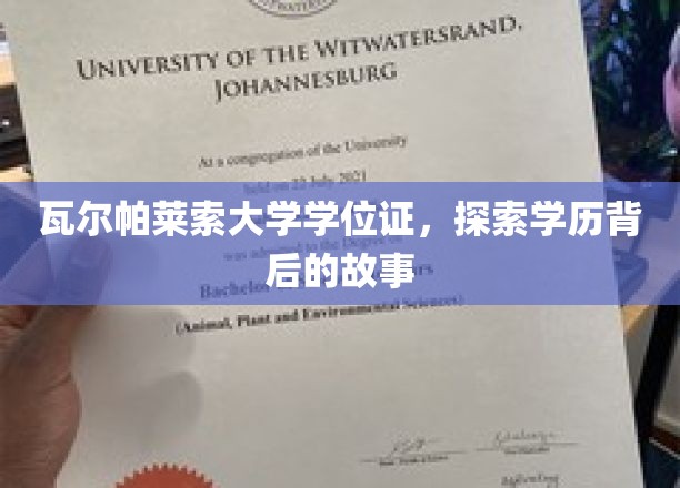 解码瓦尔帕莱索，揭秘学位证书背后的传奇故事