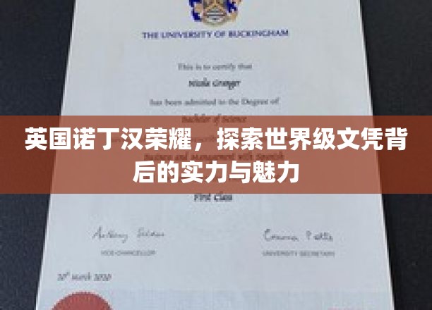 解码诺丁汉荣耀，揭秘世界级文凭的非凡魅力与卓越实力