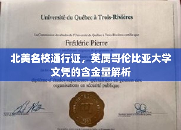 解码北美精英学府，UBC文凭的含金量揭秘之旅