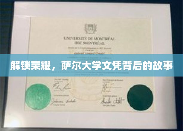解锁荣耀，探寻萨尔大学文凭背后的故事