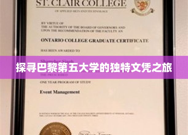 穿梭巴黎第五大学，揭秘神秘文凭背后的故事