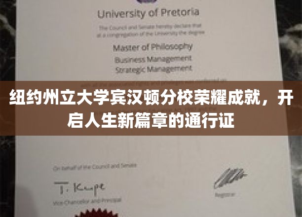 纽约州立大学宾汉顿分校荣耀榜，解锁未来无限可能的钥匙
