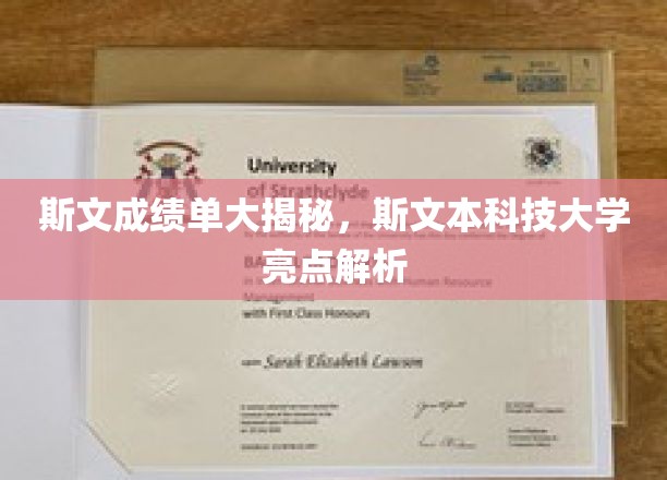 斯文成绩单大揭秘，斯文本科技大学亮点解析