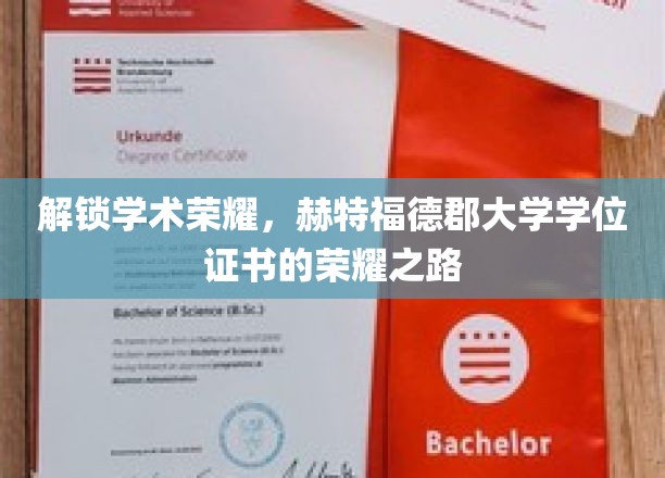 赫特福德荣耀启程，学位证书背后的学术征途
