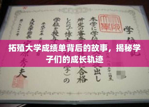 拓殖学子，揭开成绩单背后的青春足迹