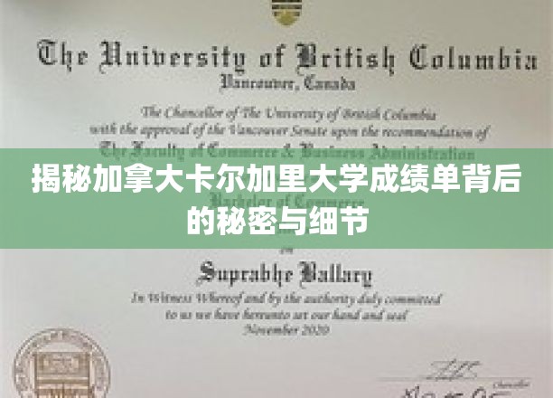 加拿大卡尔加里大学成绩单的隐藏真相，解锁学术成绩的深层解读