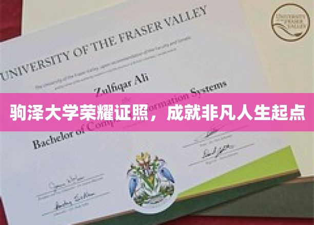 驹泽大学荣耀证照，成就非凡人生起点