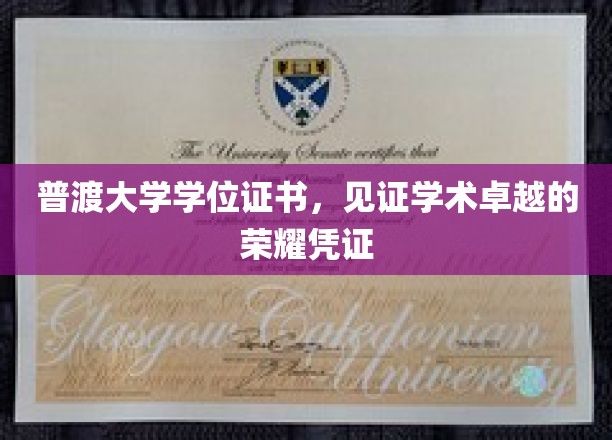 普渡荣耀，学位证书背后的学术辉煌之旅