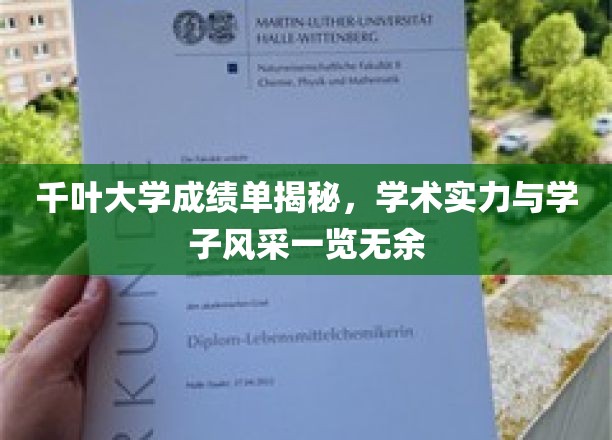千叶大学学子风采大揭秘，一纸成绩单见证学术魅力