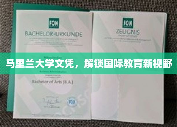 马里兰大学文凭，开启全球视野新篇章