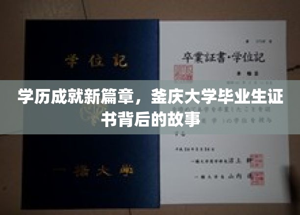 釜庆荣耀，揭秘新锐学子证书背后的蜕变与梦想