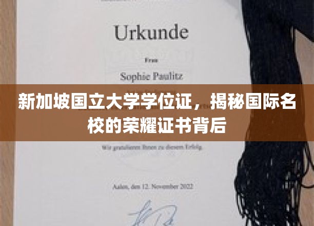 新加坡国立大学学位证，揭秘国际名校的荣耀证书背后