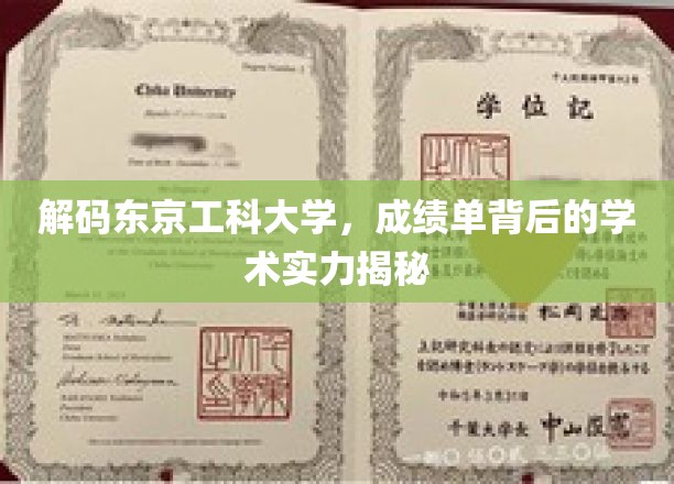探秘东京工科大学，成绩单揭示的非凡学术底蕴
