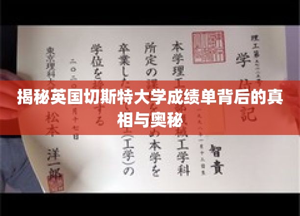 揭秘英国切斯特大学成绩单背后的真相与奥秘
