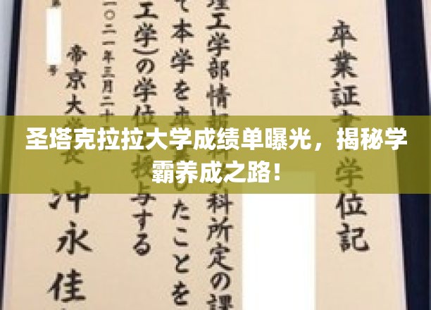 圣塔克拉拉学霸养成记，揭秘顶尖学府成绩单背后的秘密