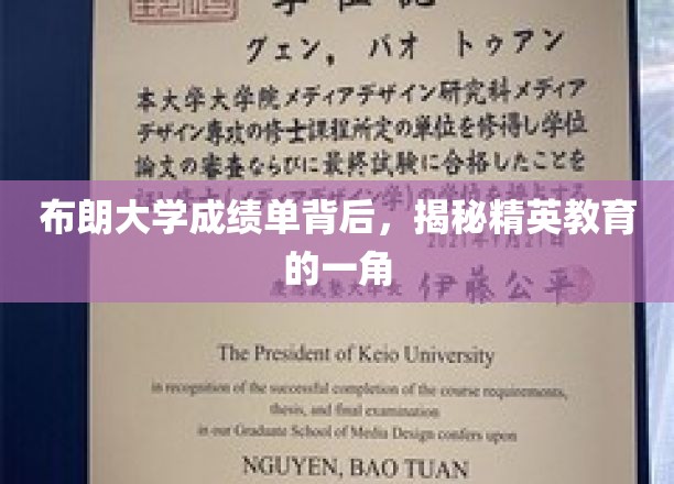 布朗大学成绩单折射，精英教育的秘密面纱