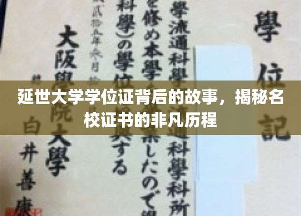 延世大学学位证，探寻名校证书背后的传奇之路