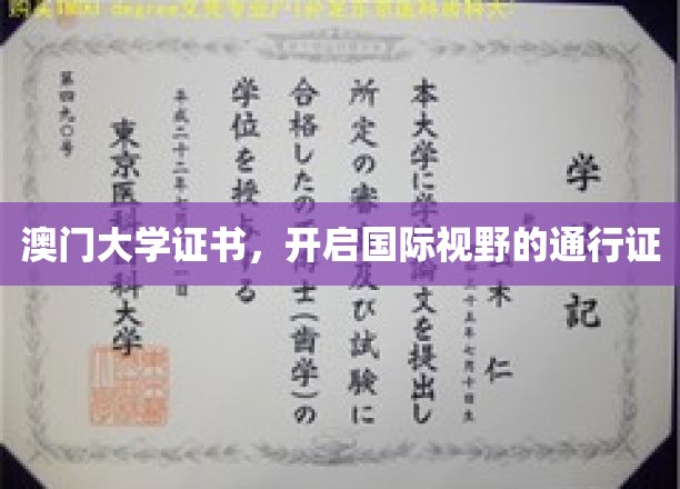 澳门大学证书，通往全球视野的金钥匙
