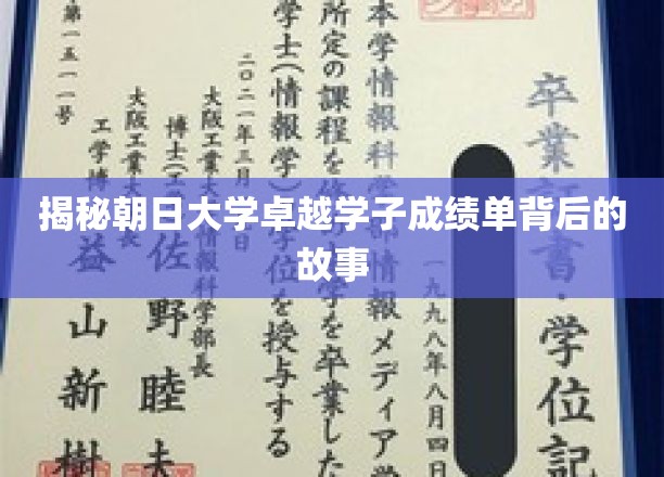 朝日骄子，揭秘卓越学子背后的奋斗秘籍