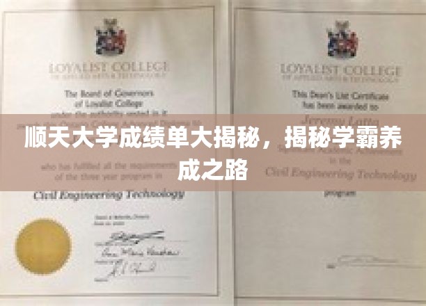 顺天大学成绩单大揭秘，揭秘学霸养成之路