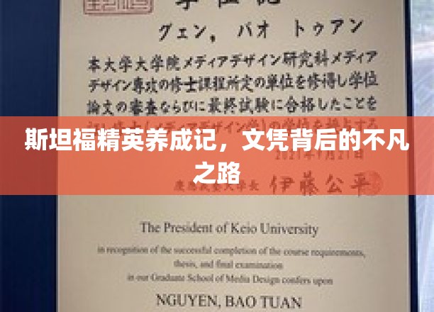 解码斯坦福传奇，揭开精英背后的非凡历程