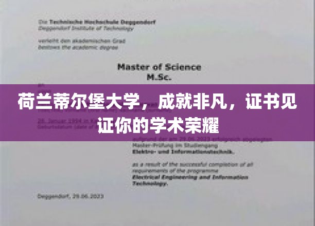 解锁学术巅峰，荷兰蒂尔堡大学证书映照非凡成就