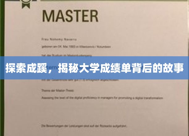 揭开成绩单之谜，大学学子成长轨迹大揭秘