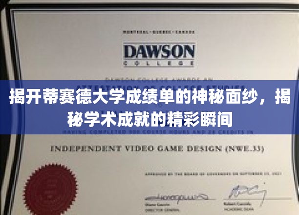 解码蒂赛德大学成绩单，探寻学子辉煌成就的隐藏故事
