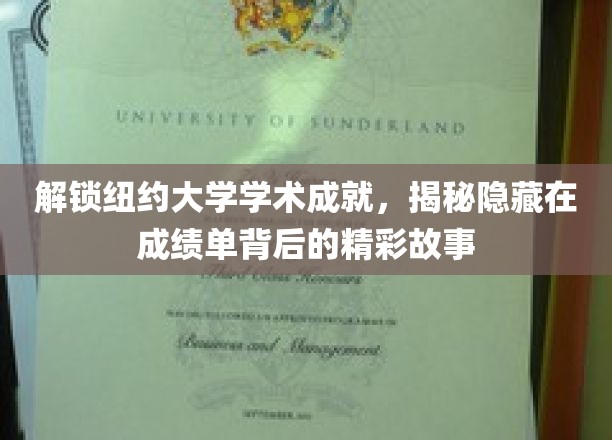 解锁纽约大学学术成就，探寻隐藏在成绩单背后的精彩故事