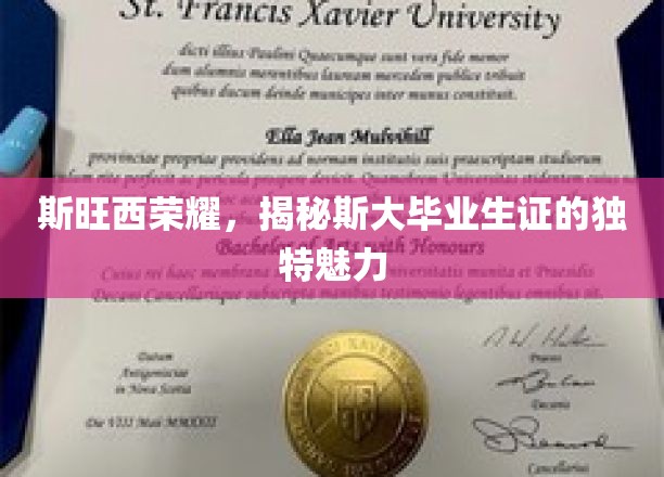 斯大毕业生证背后的斯旺西传奇，探寻荣耀证书的独特风采
