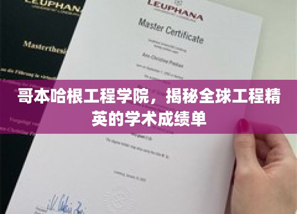 哥本哈根工程学院，揭秘全球工程精英的学术成绩单