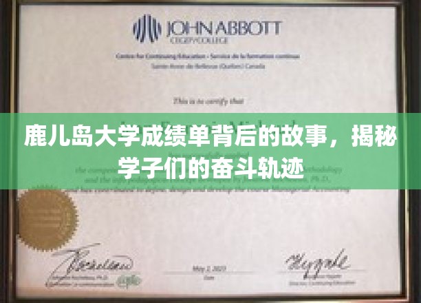 鹿儿岛大学成绩单背后的故事，揭秘学子们的奋斗轨迹