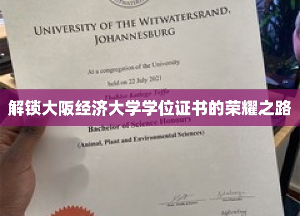 踏上大阪经济大学学位之旅，揭秘荣耀背后的奋斗历程